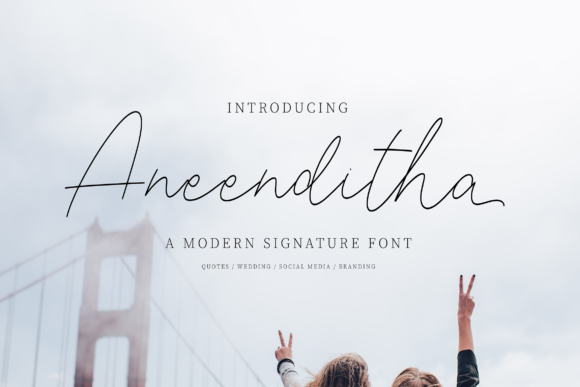 Aneenditha: A Designer's Honest Review for Real-World Branding