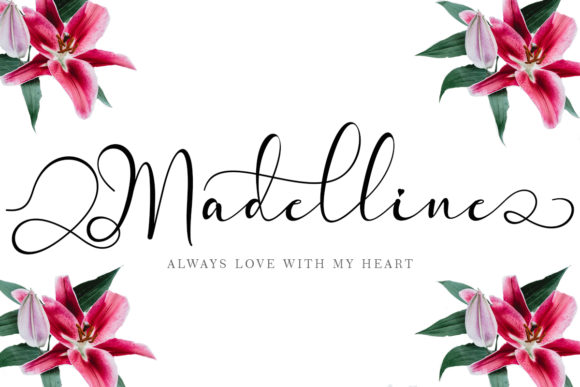 Madelline: The Elegant Handwritten Font for Modern Web Design