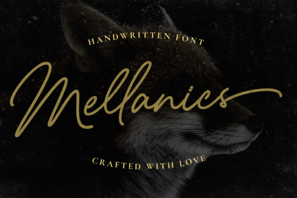 Mellanics Review: A Designer’s Take on Script Amp’s Latest Release