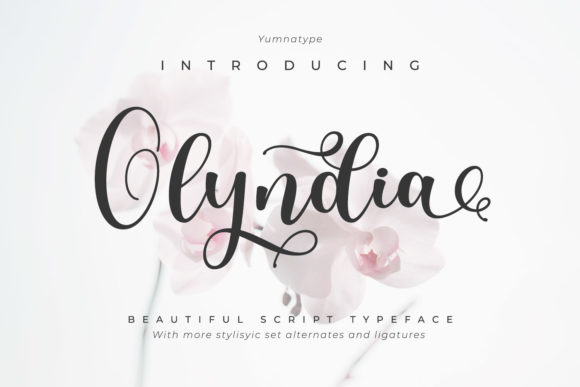 Olyndia: The Elegant Script Font for Polished Brand Identity