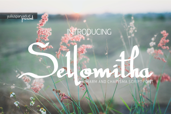 Sellomitha: The Handwritten Typeface That Elevates Campaign Visuals