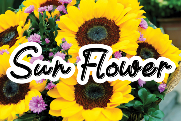 Sun Flower: The Perfect Script Font for Modern Web Design