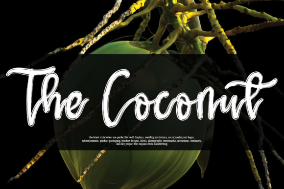 The Coconut: The Handwritten Typeface That Elevates Small Business Branding